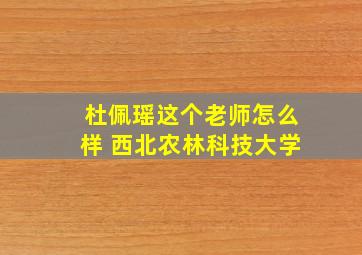 杜佩瑶这个老师怎么样 西北农林科技大学